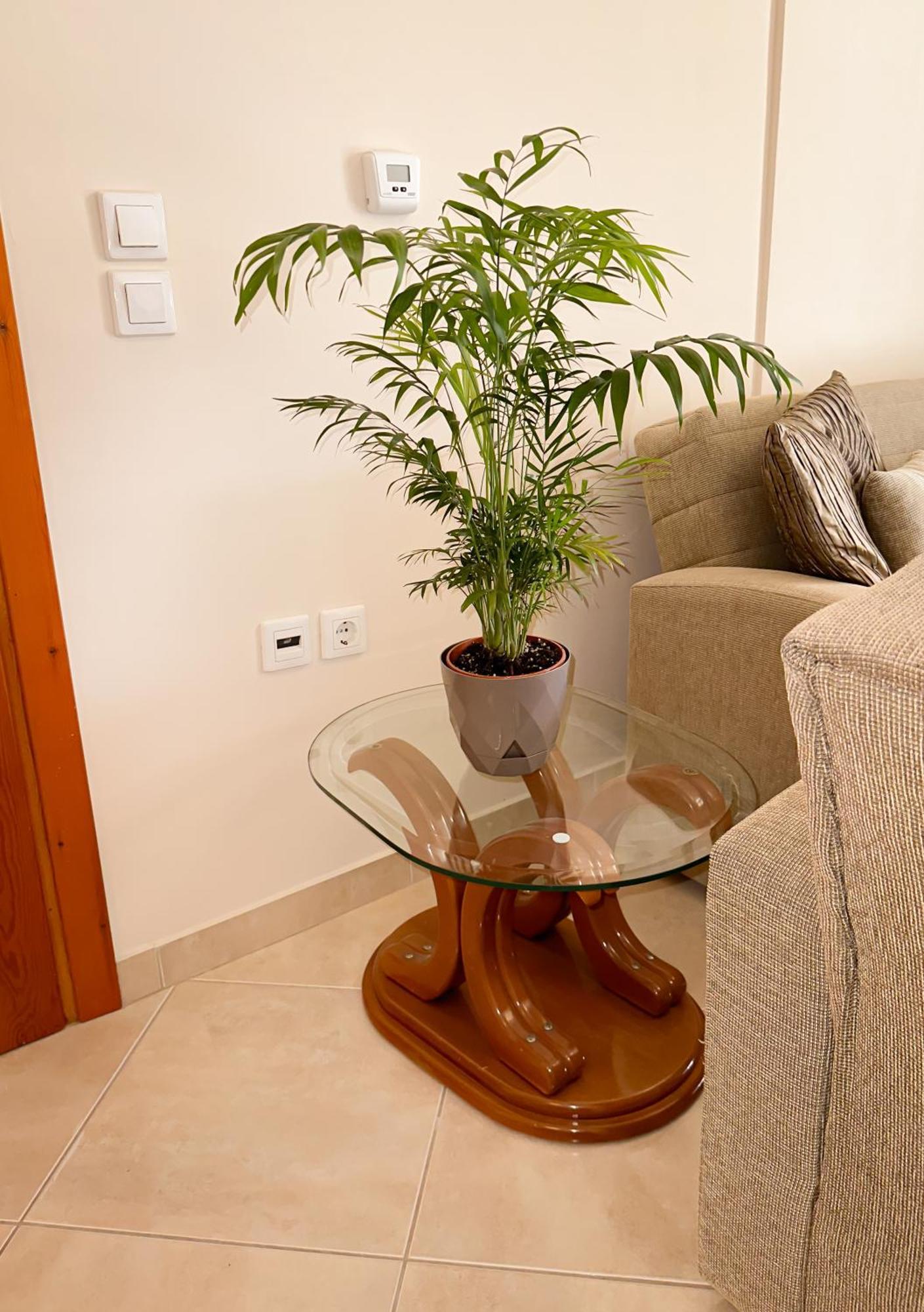 Sun N' Salt II Apartment Толон Екстериор снимка